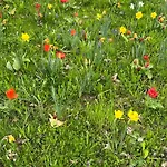 Apartament Ermstalsuite *