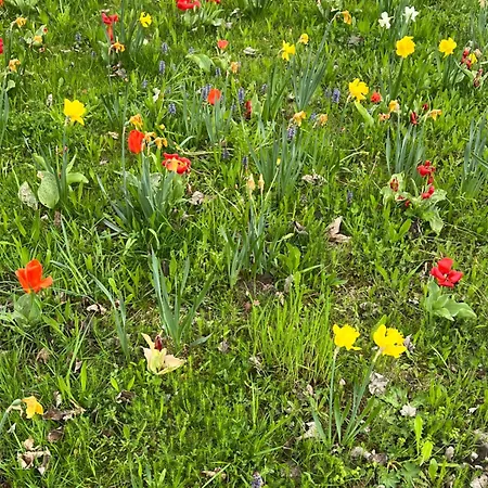 Appartamento Ermstalsuite *