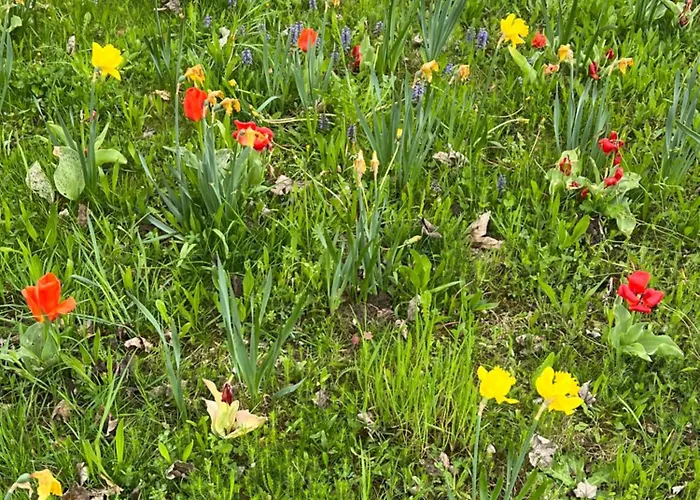 Appartement Ermstalsuite *